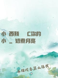 小東西我們兩個C你的小說
