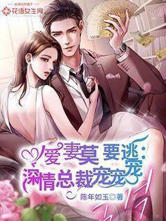 愛妻莫要逃：深情總裁寵寵寵