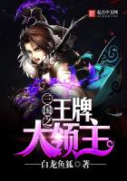 三國之王牌大領(lǐng)主