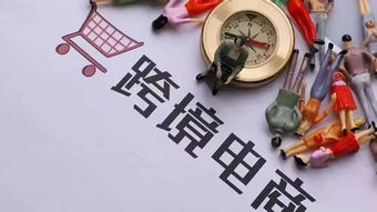 斐濟(jì)深化與中國跨境電商合作，攜手電子商務(wù)技術(shù)共促發(fā)展